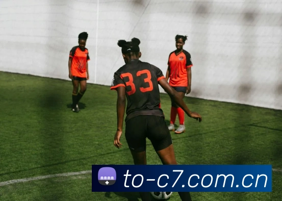 平台展示图